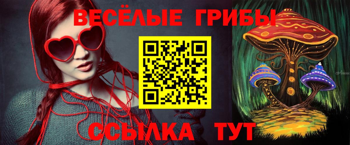 Псилоцибиновые грибы мицелий Арсеньев