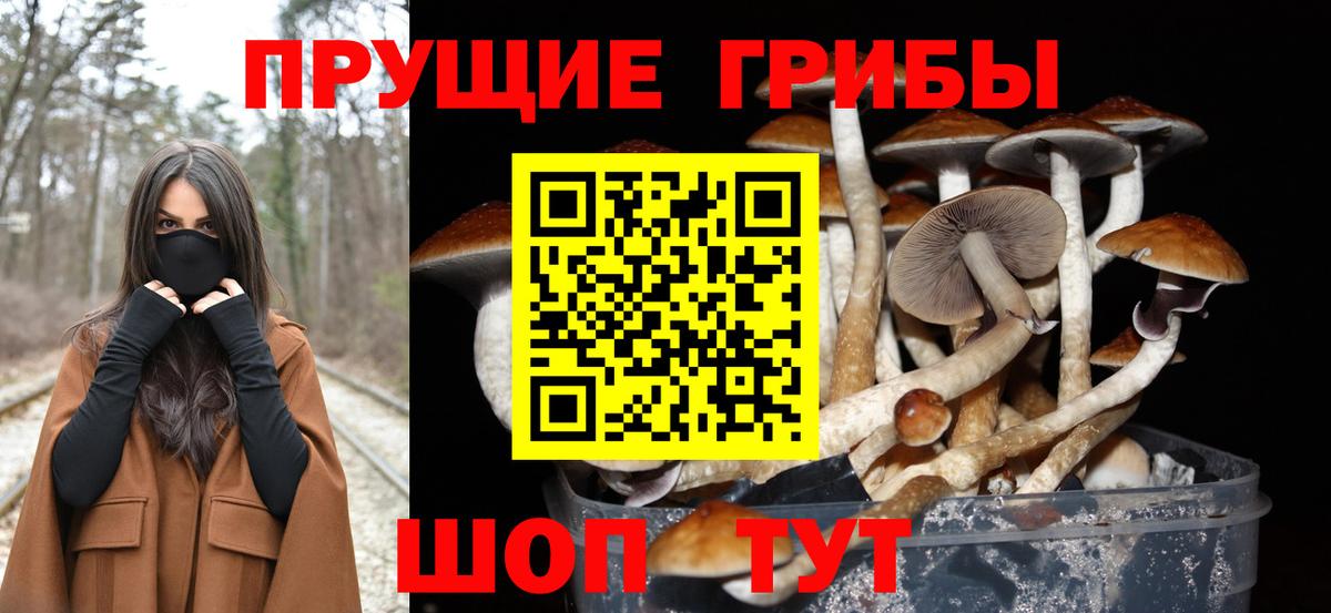 Псилоцибиновые грибы Cubensis  Галлюциногенные грибы прущие грибы  Вход с VPN  Арсеньев 